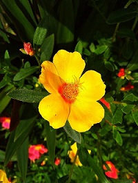 Bagaimana Mendapatkan Penampilan yang Menarik?