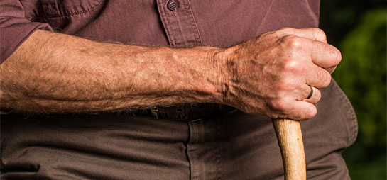 قصة مثل : إنَّ العَصَا مِنَ العُصَيَّة!!