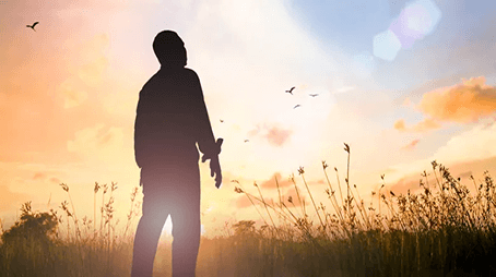  التفكّر في المخلوقات: عبادة القلب وسبيل المعرفة