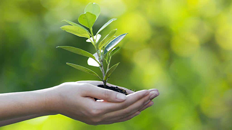 العمل والسَعْي للدنيا والآخرة تكامل لا تعارض