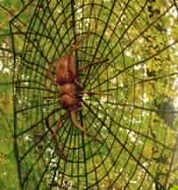 الوهن داء الأفراد والأمم