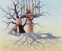 العنوسة.. أسباب المشكلة ( 1 )