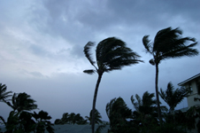 Gulf Coast braces, flees as deadly Gustav takes aim at US