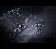 Tr�nen im Leben des Propheten - Teil 2