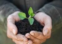 Unselbstst&auml;ndigkeit bei Kindern - ein ernst zu nehmendes Problem - Teil 2