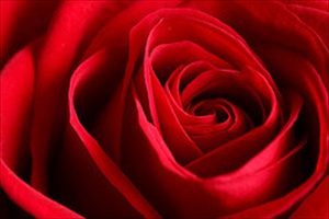 Mujeres musulmanas que ense&ntilde;aron a sus esposos