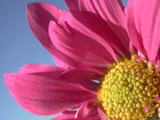 &iquest;Degrada el Islam a la mujer? 