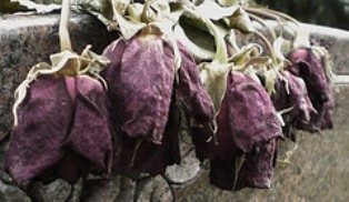 El esposo cr&iacute;tico (Parte IV)