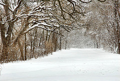 Lo que dice el Cor&aacute;n sobre el olvido: Otras clases de olvido