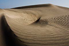 Lo que dice el Cor&aacute;n sobre el olvido: Causas que conllevan al olvido