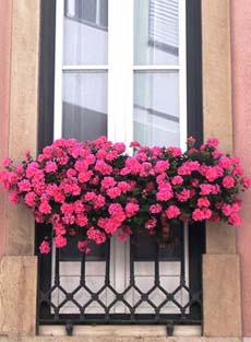 &iquest;Eres un buen vecino?