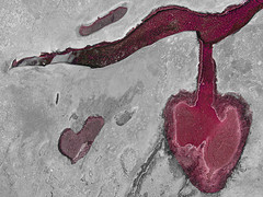 Pr&aacute;cticas sociales contra la dignidad de la mujer